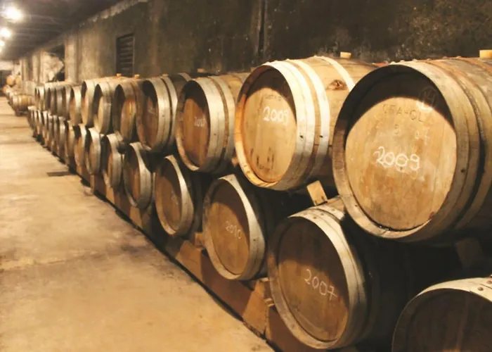 Heilige Efigenie By Interhome Nyaraló Lourinhã