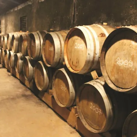 Heilige Efigenie By Interhome 別荘 ロウリニャン